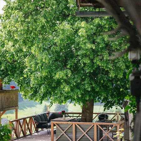 Die Ringdorferin - Boutique Farmhouse In Ski Amade Region - Natur Ruhe Schladming-Dachstein-Card Klazenberg