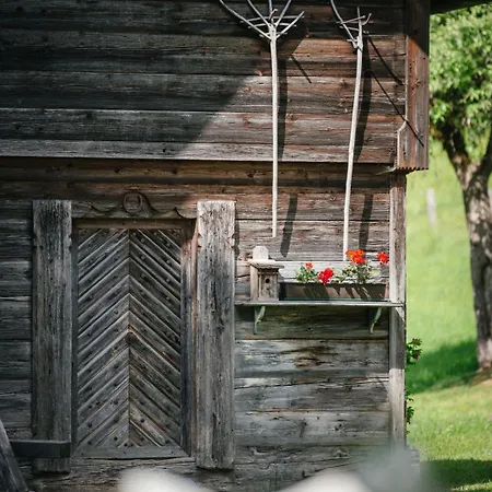 Die Ringdorferin - Boutique Farmhouse In Ski Amade Region - Natur Ruhe Schladming-Dachstein-Card Klazenberg