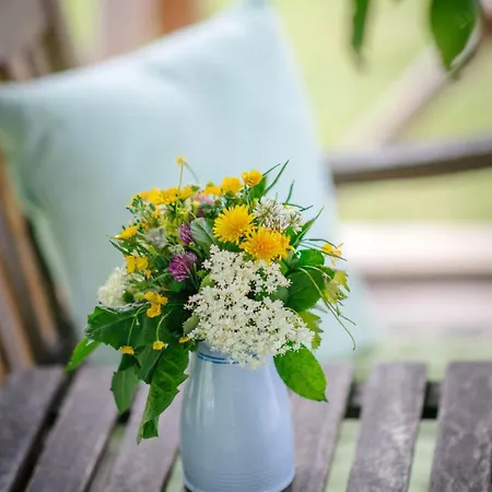 Die Ringdorferin - Boutique Farmhouse In Ski Amade Region - Natur Ruhe Schladming-Dachstein-Card Апартаменты *