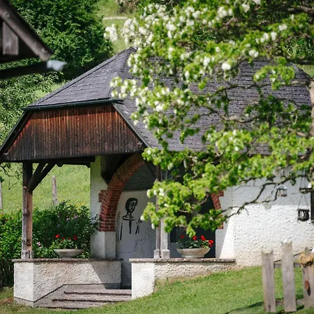 شقة Die Ringdorferin - Boutique Farmhouse In Ski Amade Region - Natur Ruhe Schladming-Dachstein-Card Klazenberg