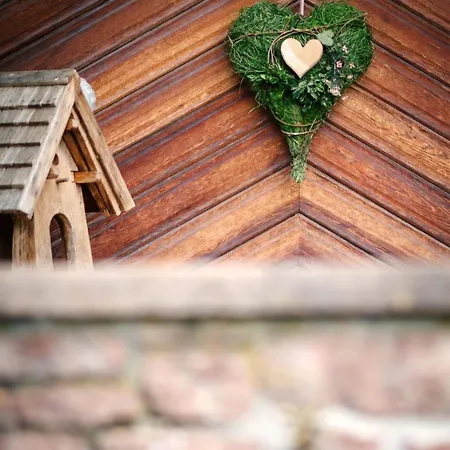 Die Ringdorferin - Boutique Farmhouse In Ski Amade Region - Natur Ruhe Schladming-Dachstein-Card Klazenberg