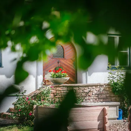 Die Ringdorferin - Boutique Farmhouse In Ski Amade Region - Natur Ruhe Schladming-Dachstein-Card