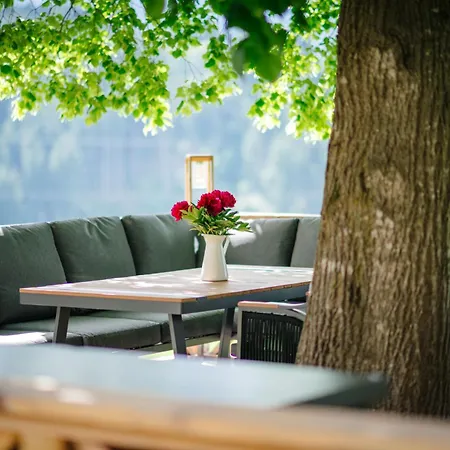 Die Ringdorferin - Boutique Farmhouse In Ski Amade Region - Natur Ruhe Schladming-Dachstein-Card