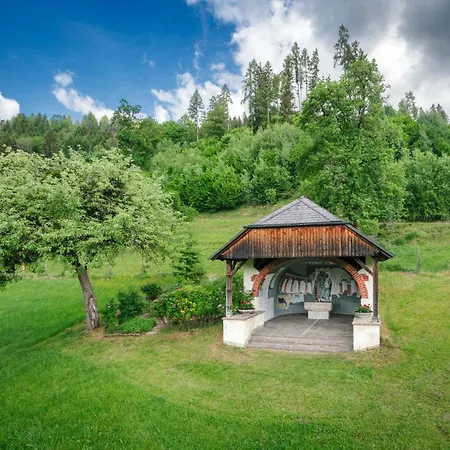Апартаменты Die Ringdorferin - Boutique Farmhouse In Ski Amade Region - Natur Ruhe Schladming-Dachstein-Card *