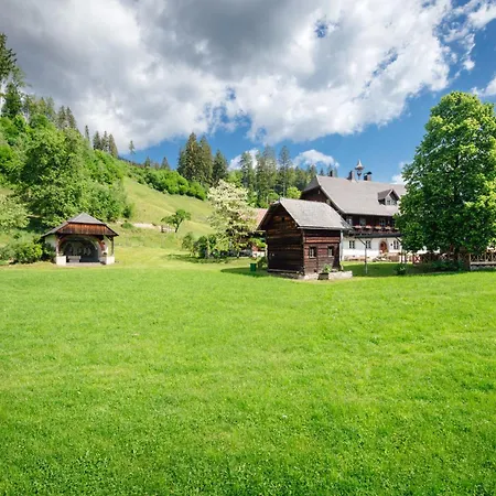 Апартаменты Die Ringdorferin - Boutique Farmhouse In Ski Amade Region - Natur Ruhe Schladming-Dachstein-Card