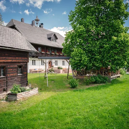 Die Ringdorferin - Boutique Farmhouse In Ski Amade Region - Natur Ruhe Schladming-Dachstein-Card