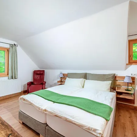 Апартаменты Die Ringdorferin - Boutique Farmhouse In Ski Amade Region - Natur Ruhe Schladming-Dachstein-Card