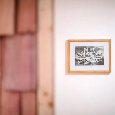 Die Ringdorferin - Boutique Farmhouse In Ski Amade Region - Natur Ruhe Schladming-Dachstein-Card *