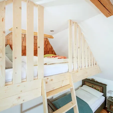 Ringdorferin - Boutique In Amade Region - Schladming-dachstein-card Апартаменты *